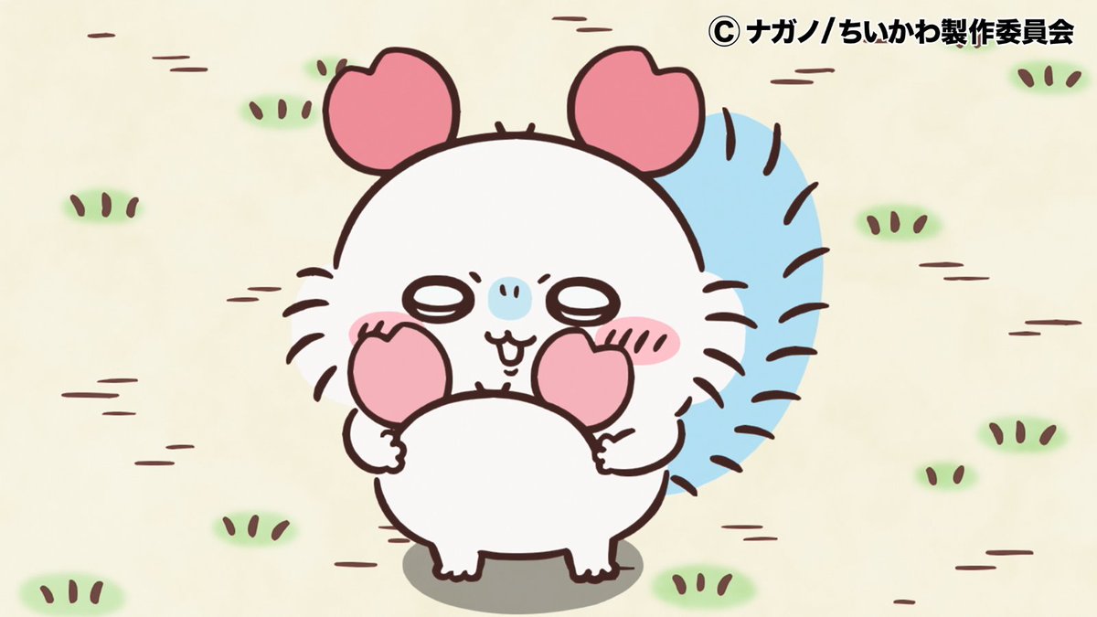 『ちいかわ』アニメ公式 tweet media