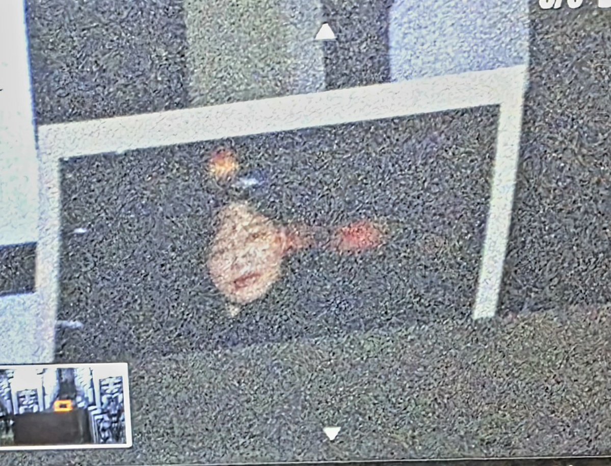 밀비 tweet media