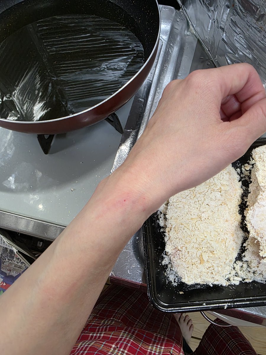 冷凍トンカツをひっぺがす際に、手首をギャリン！！っとした貧弱なアカウントはこちらです_:(´ω`」 ∠):__:(´ω`」 ∠):__:(´ω`」 ∠):_