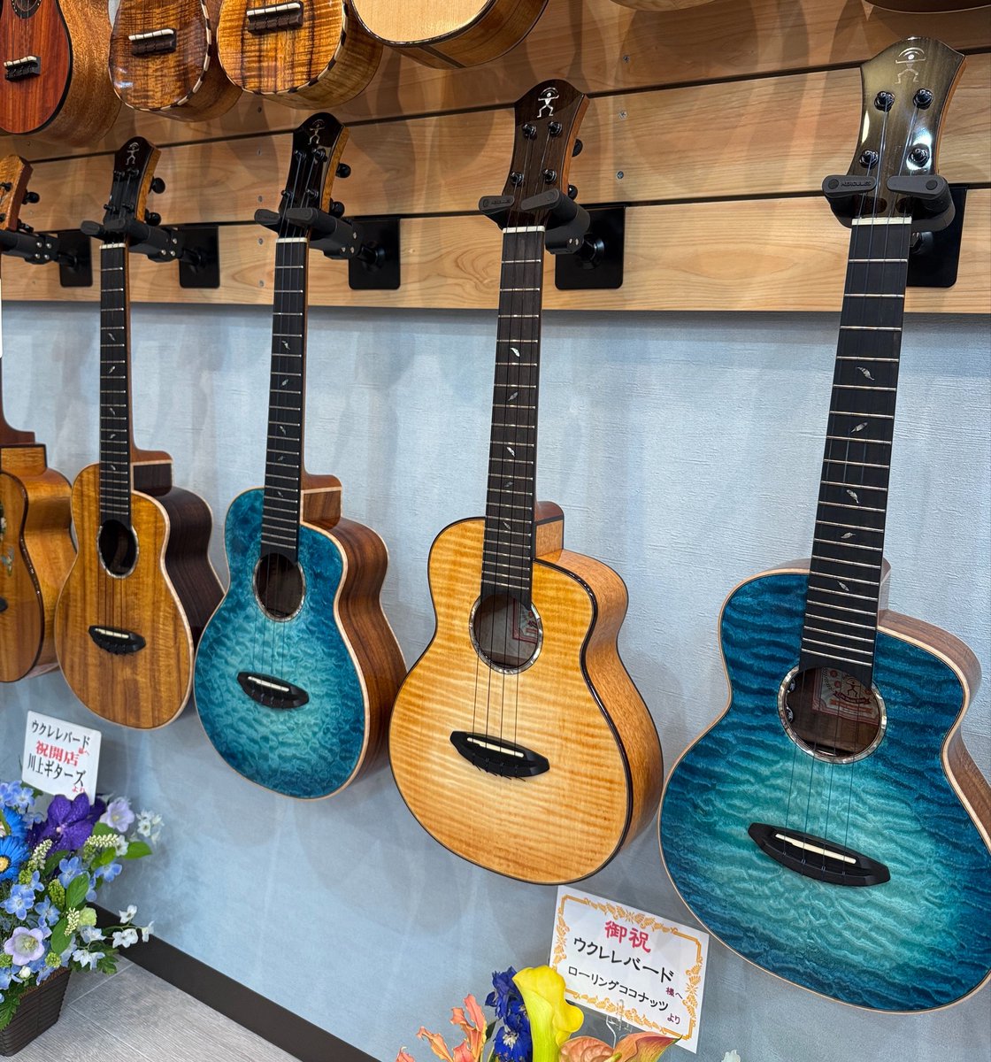 UKULELE BIRD tweet media