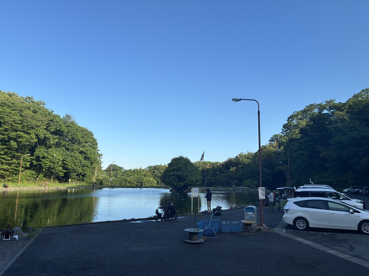 norimitsu0627's tweet photo. トラック放流後、大雨の後と釣れる要素揃った
#王禅寺
しかし鵜の食事後だったようで厳しい修行となりました
久しぶりのお寺参りでしたが常時5羽🦅って年初より増えとる気が。。。
スタッフさんに正解のレンジは表層と教えてもらい回遊待ちしたもののアタリ少なく退散
3時間6匹 https://t.co/veZihgFTTc