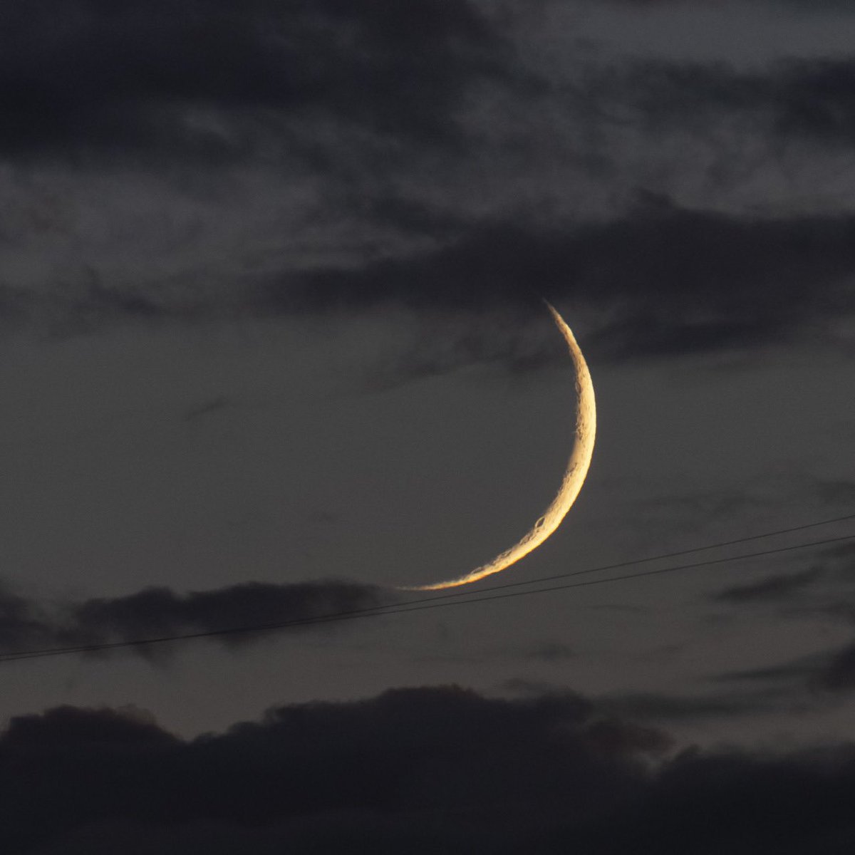 Moon tweet media