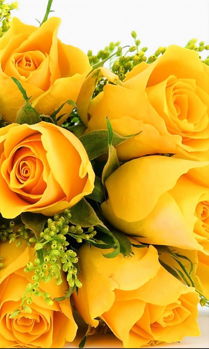 Eugyn3's tweet image. Destellos de sol visten las rosas  AMARILLAS
Como la primavera, tus preferidas ☁️
Como tu mirada, denotando alegría,
optimismo, fuerza, fe
Por un gesto de Amor, una sonrisa,
por cada palabra !! Por un acto de Amor !!
Te extraño Cielito ❤️ 👑
#FelizViernes #FelizViernesATodos