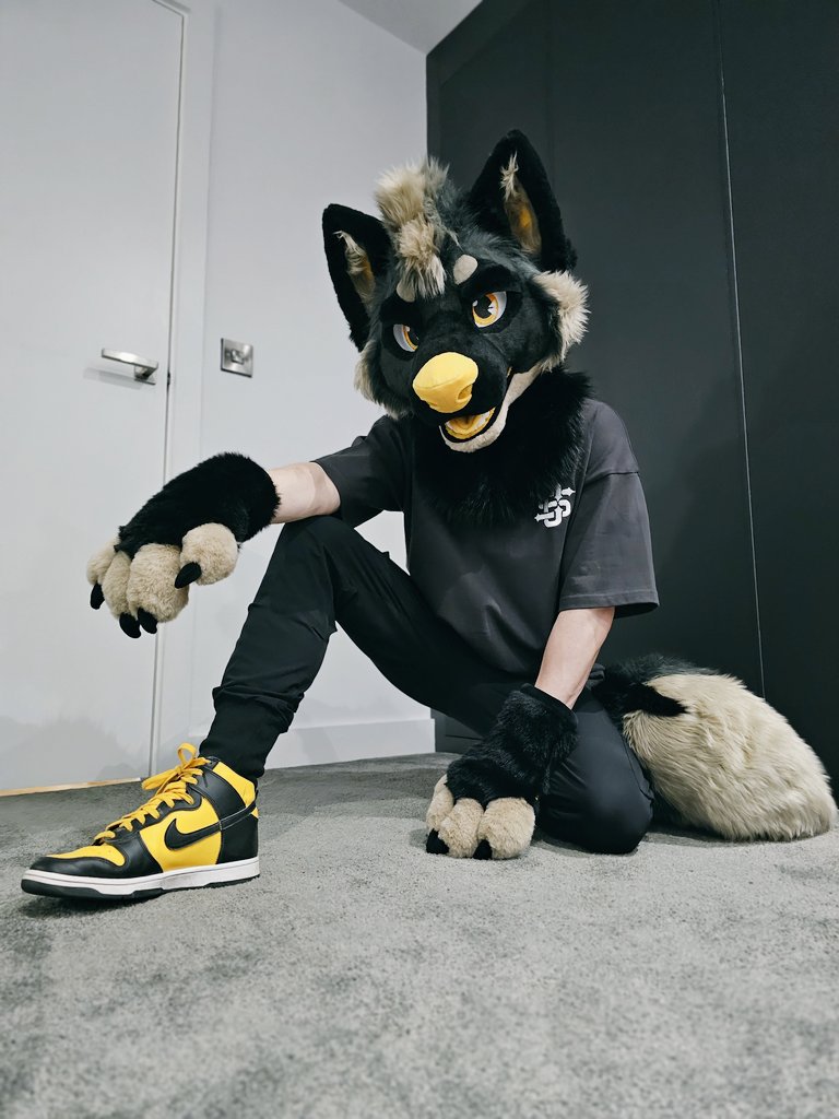 Byte🐺💸 tweet media