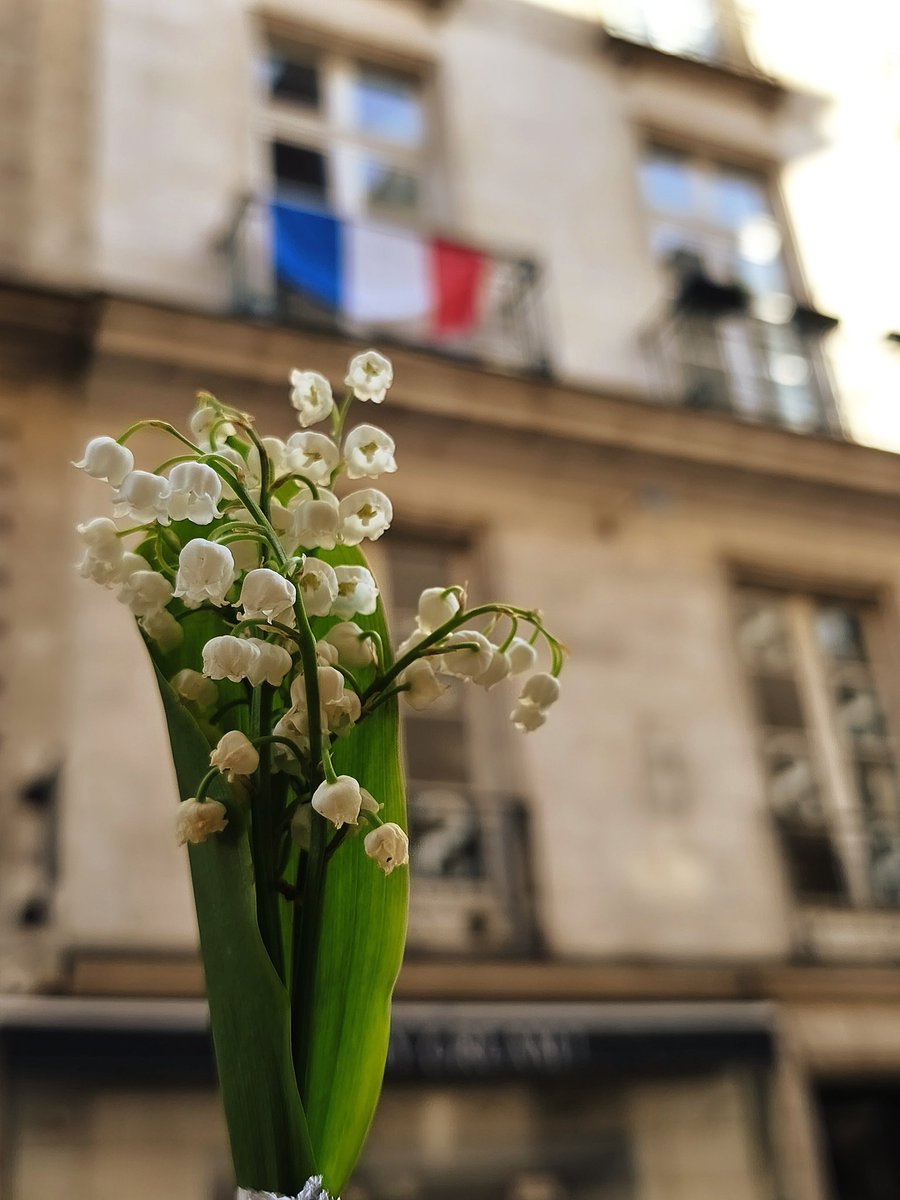 Bryan Pecqueur 🇫🇷 tweet media