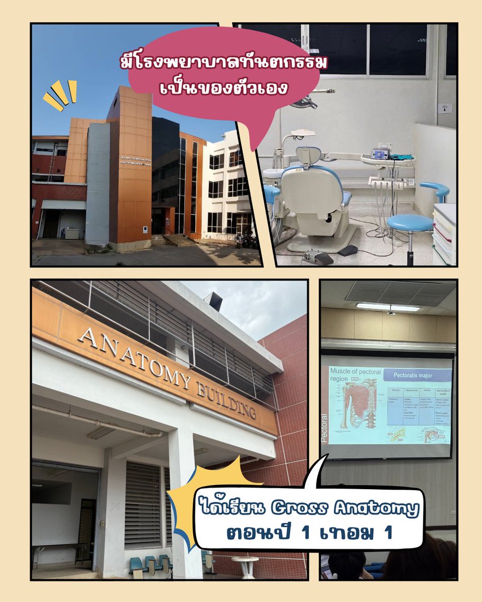 Dent NU 29 tweet media