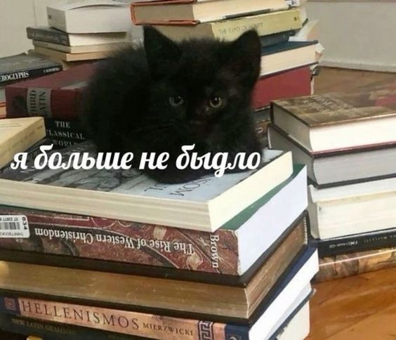 OOO 'LADA' tweet media