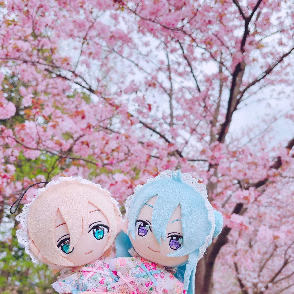 ໒꒱· ﾟ tweet media