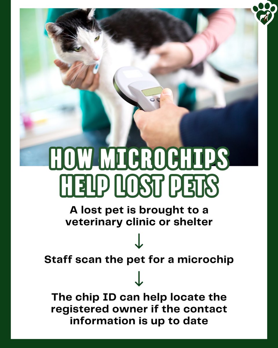 caringvets's tweet image. Pet safety starts with reliable identification. Microchipping helps ensure pets have permanent identification that stays with them throughout their lives. 🐾

Get your pet microchipped: caringvets.com/pet-microchipp…

#ChipYourPetsMonth #PetSafety #VeterinaryCare