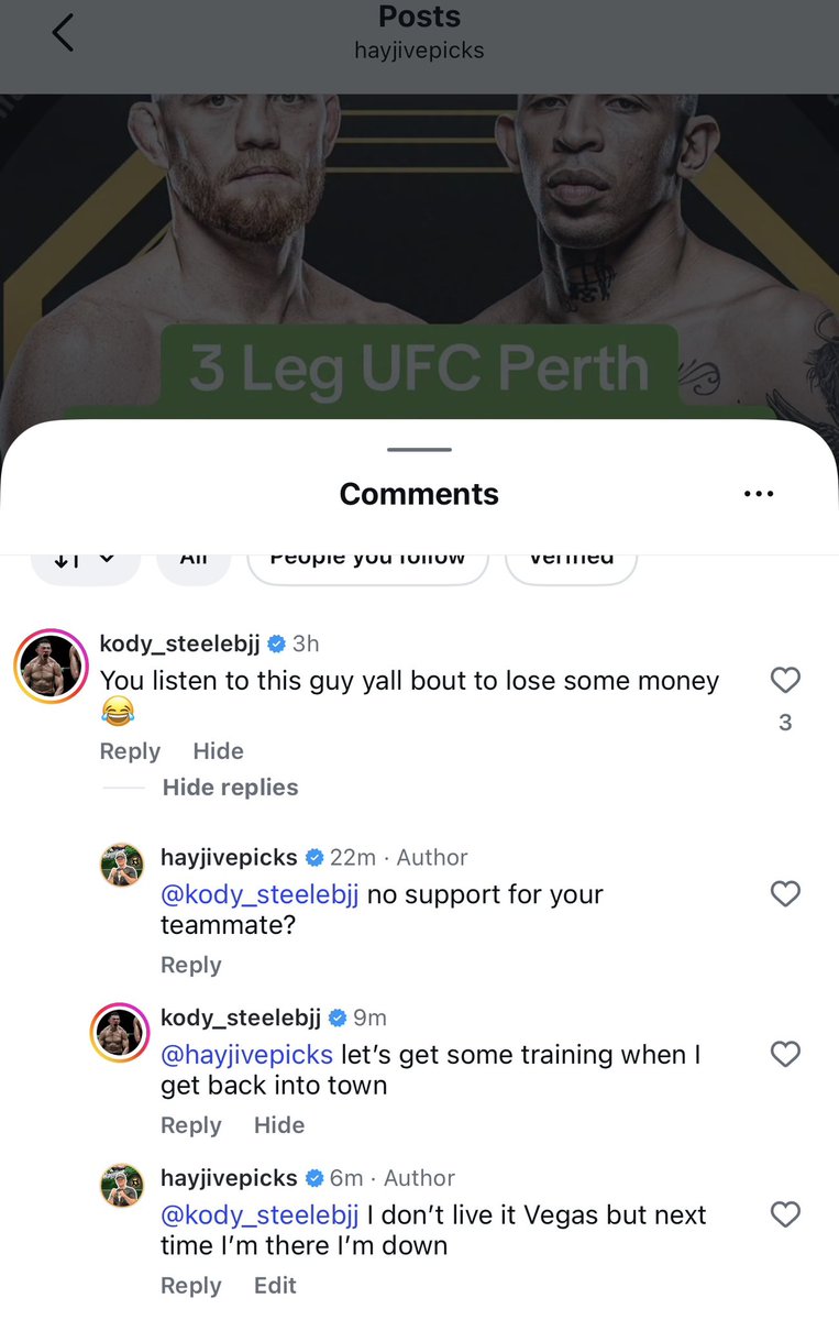 hayjive tweet media