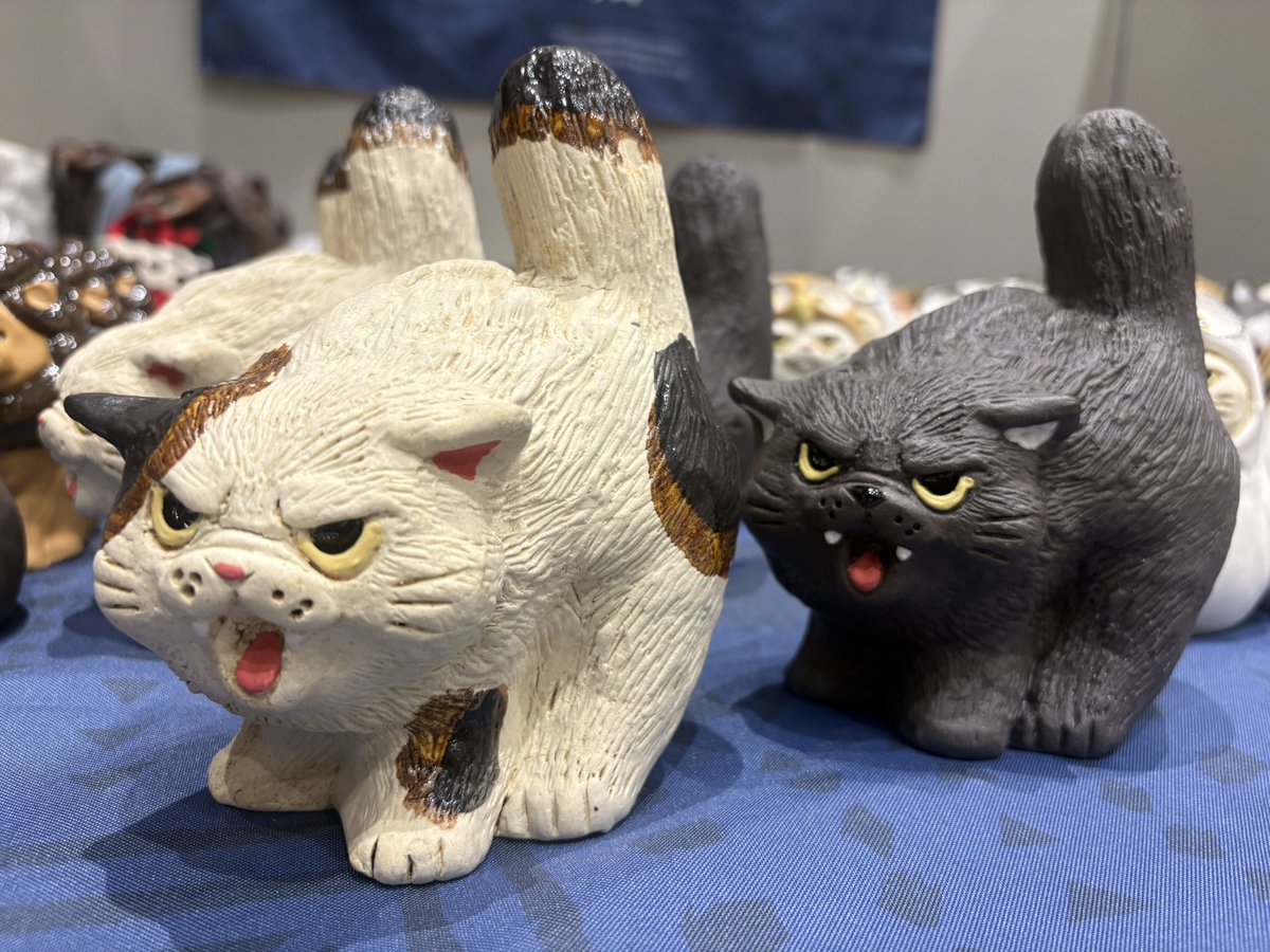 布施猫 (@c_a_takurofuse) / Posts / X