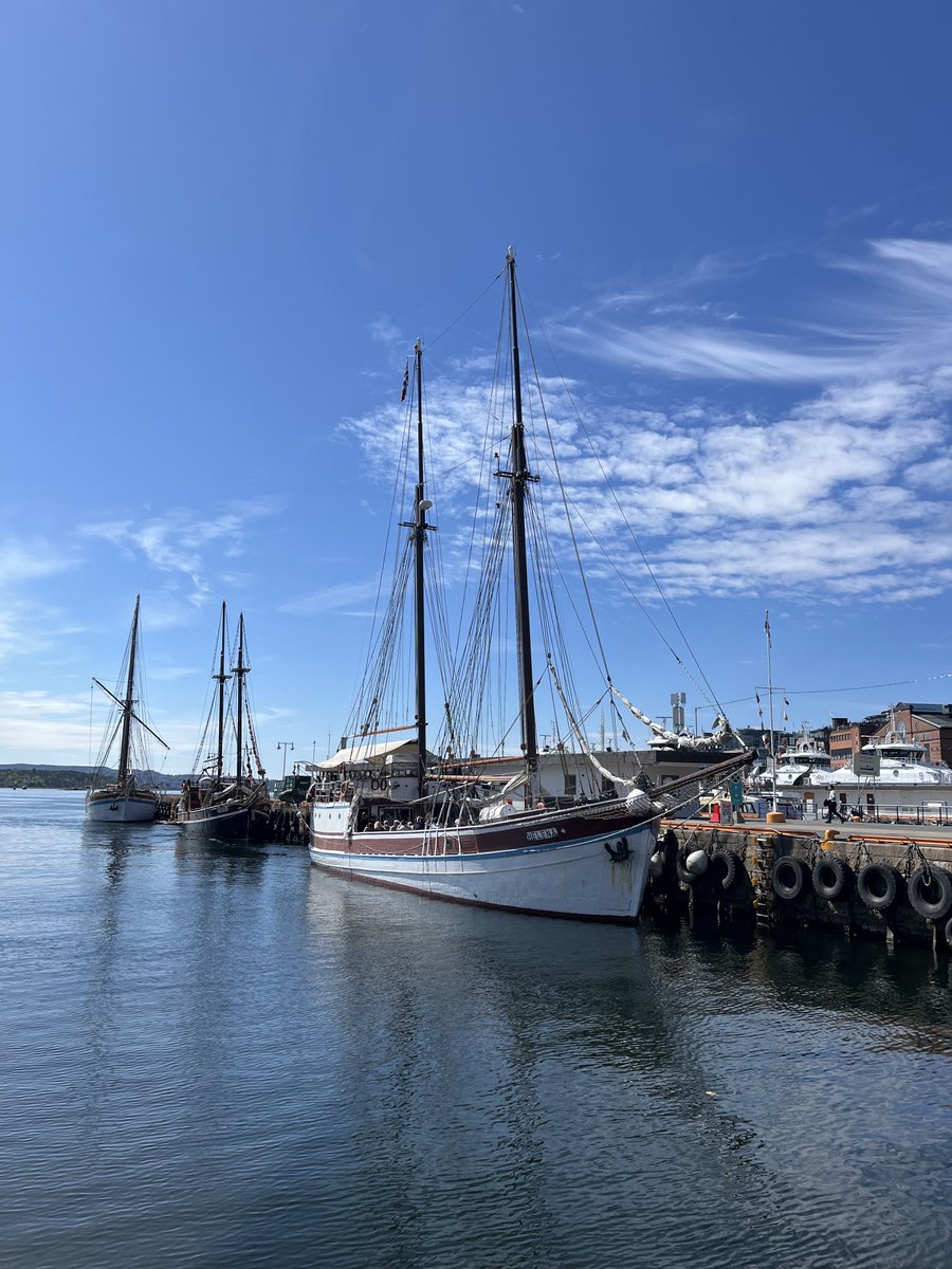 ShahidMAskerN's tweet image. Just a view 🌊⚓️💙
#Oslo #Norway