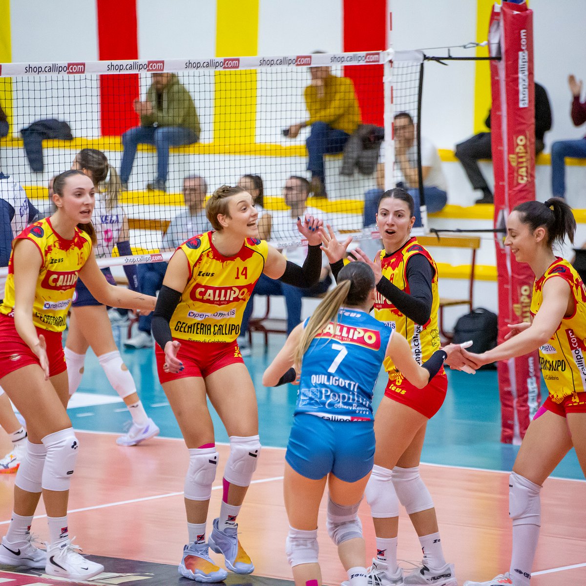 Tonno Callipo Volley tweet media