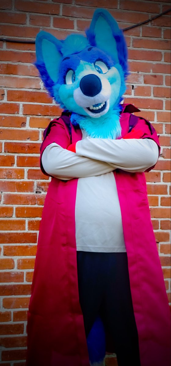 Terry_Husky tweet media