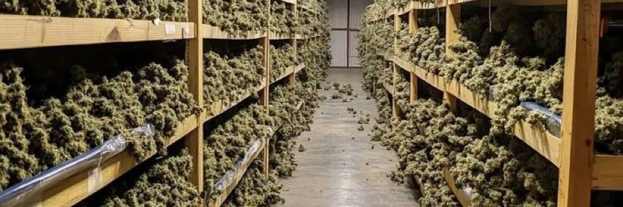 MonshiB51991's tweet photo. @ToolySOL I’m not forcing anything here.
The $WEEDSTA community has been growing fast and the energy feels real. Let’s see where it goes.

@WEEDSTABOSS 

Ca: 4fMTFvZfWKhi4M5J9bdWuKMrZ2gtgeGHVBB3Kncqpump https://t.co/6RWJ2bSm7U