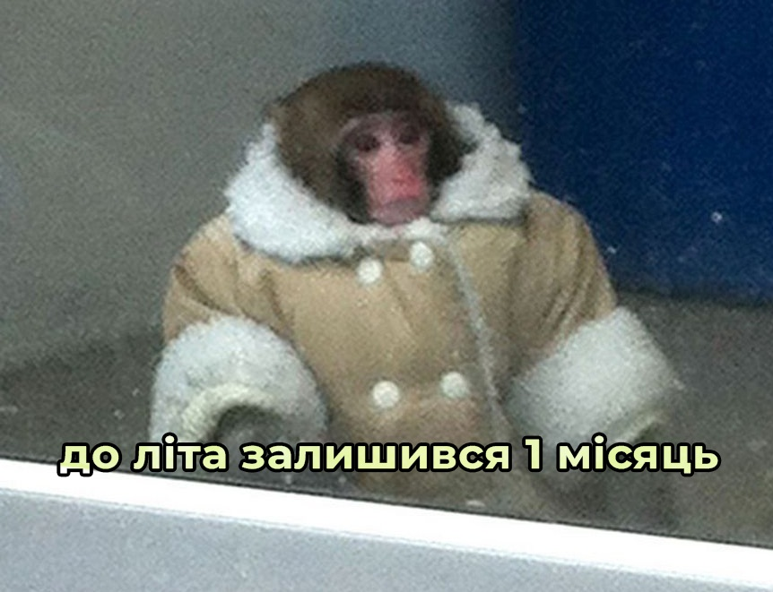 poltavazmist's tweet photo. Поки не відчувається https://t.co/iCxVKfKFjh