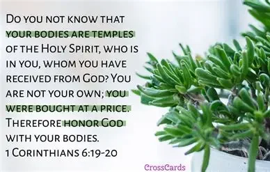 ShilohStarrs's tweet image. "Do you not know that you yourselves are God’s temple, and that God’s #Spirit dwells in you?
If anyone destroys God’s #temple, God will destroy him; for #God’s temple is #holy, and you are that temple.…"  #CHRIST 
1 Corinthians 3:16-17   ❤️#JESUS ❤️