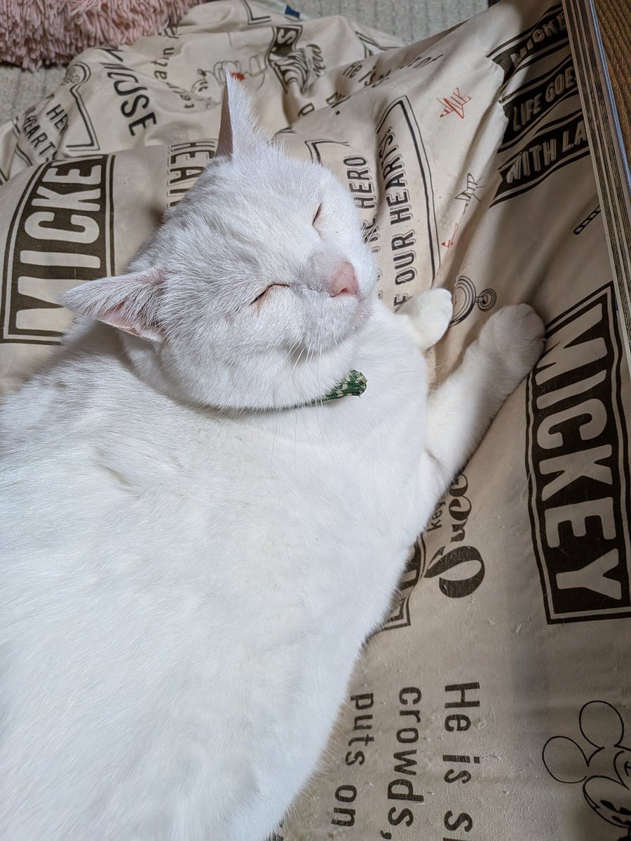 😺