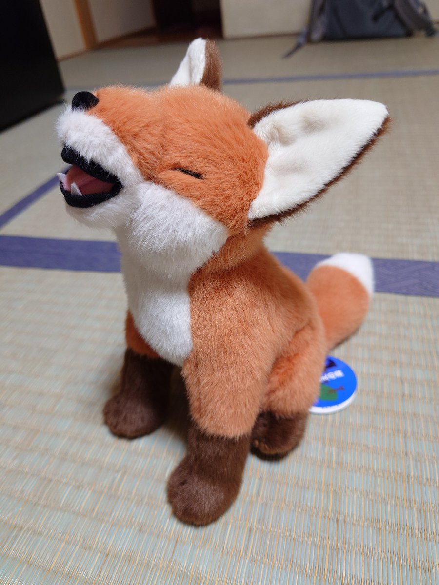 Cheng-Ren🦊🐺 tweet media