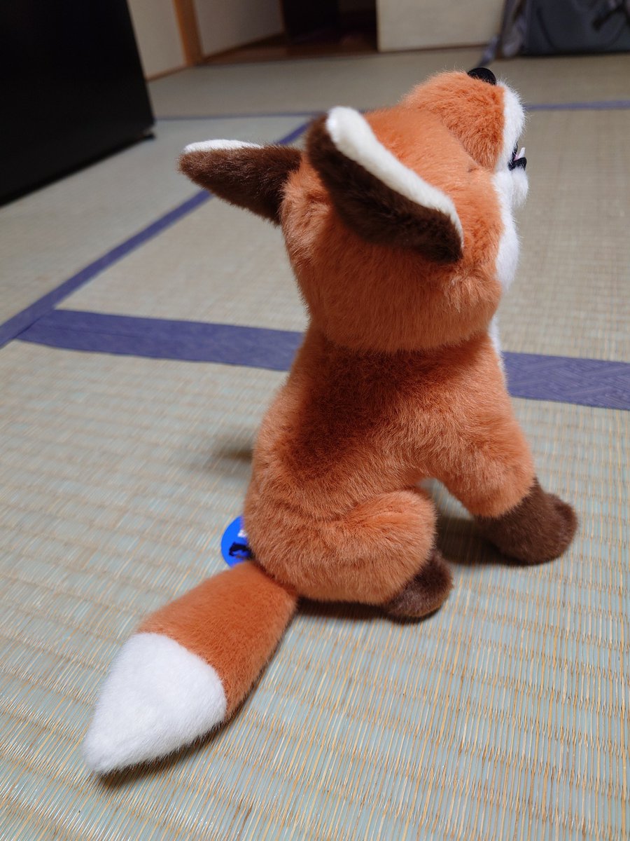 Cheng-Ren🦊🐺 tweet media