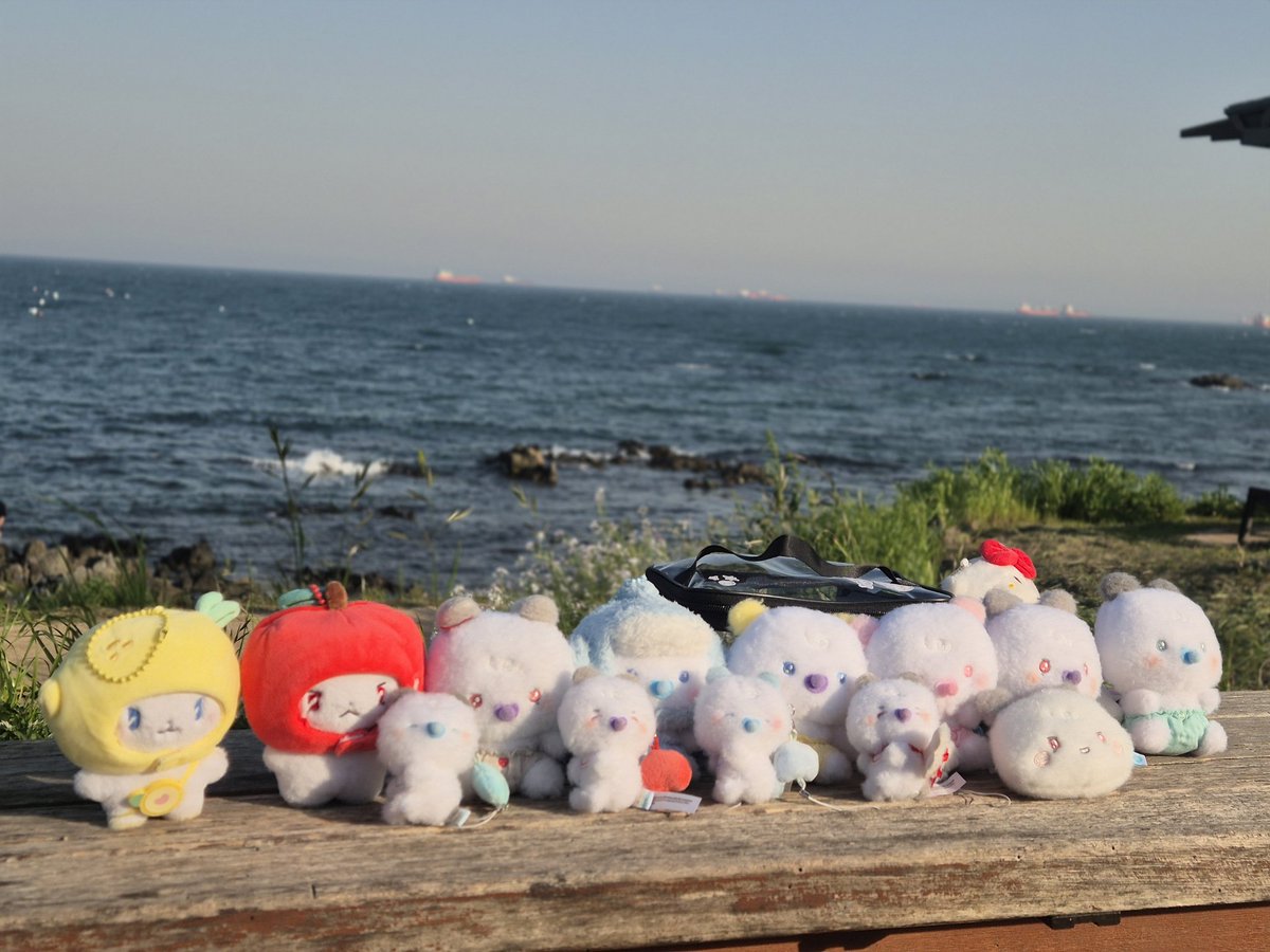 배배 tweet media