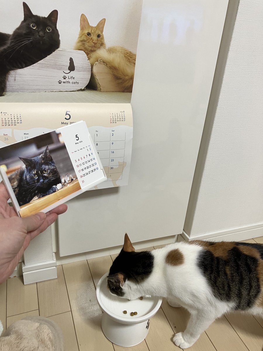 まつり tweet media