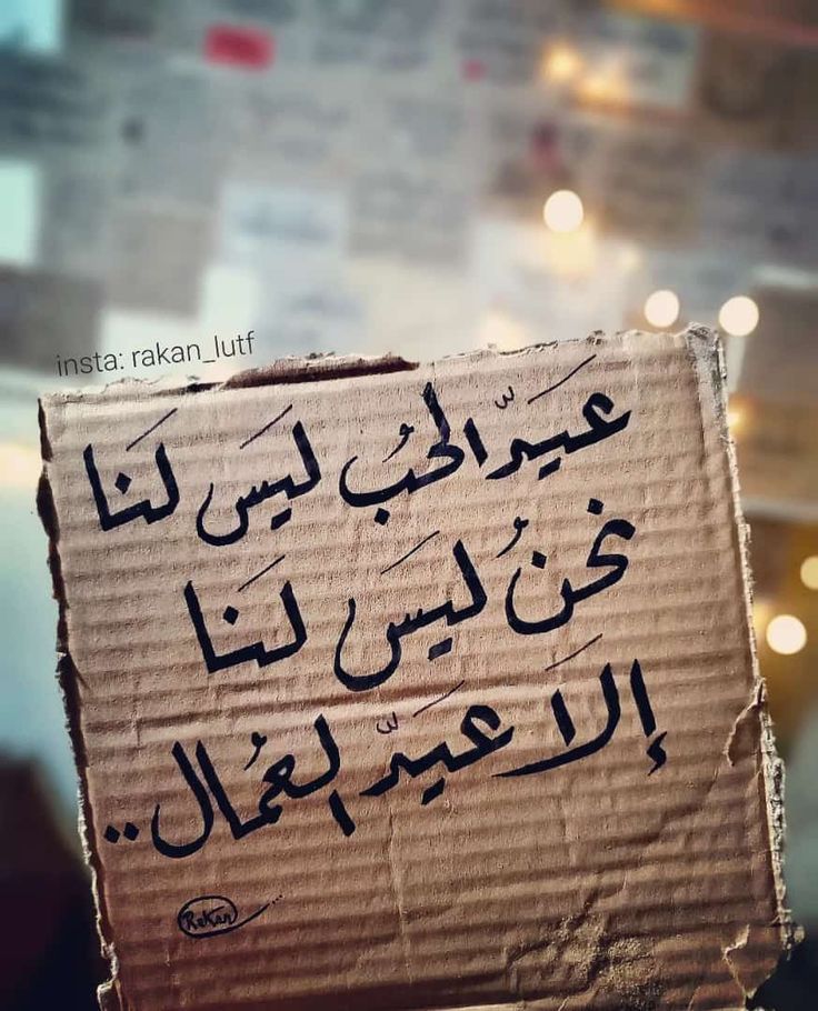 فاطمة tweet media