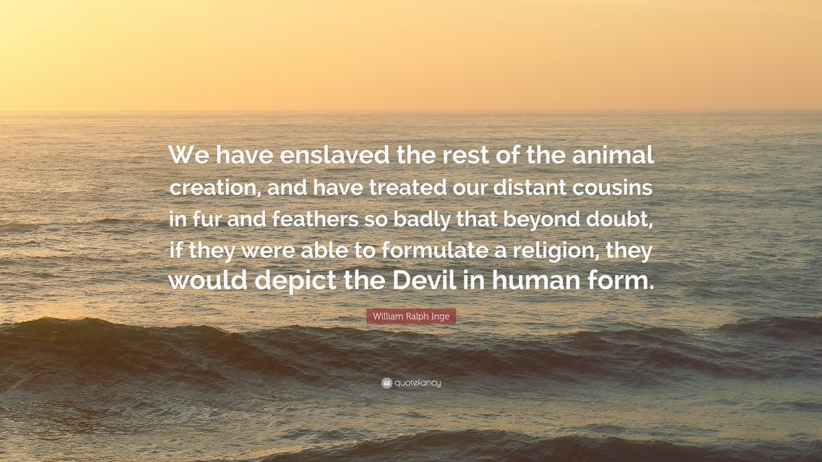 john2021animals's tweet image. #govegan