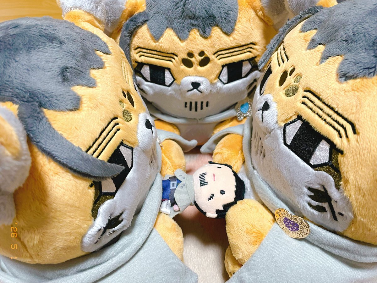 _upper_cut_'s tweet photo. めっちゃ取り合いしてるけどそれかいぬしのだからな https://t.co/uPvwnNHntV