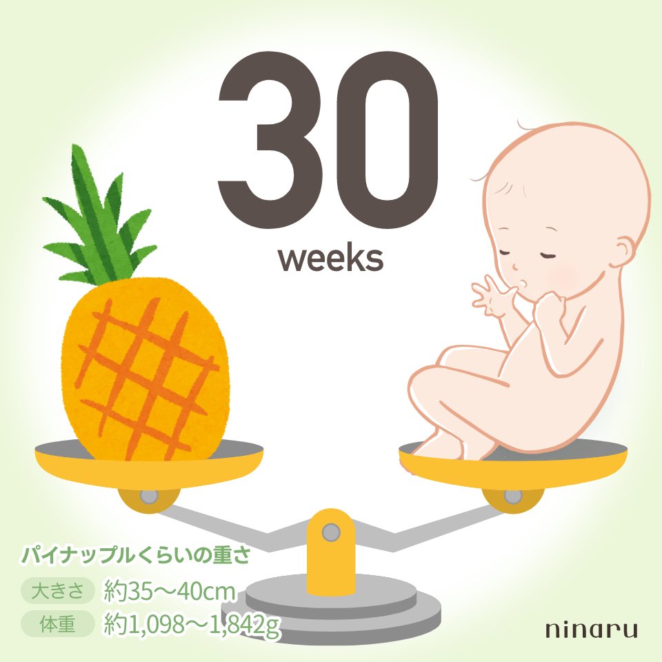 ちゃむ♡初マタ32w tweet media