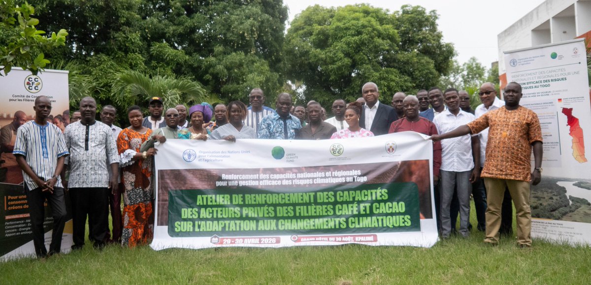 FAOauTogo's tweet photo. 📍#Kpalimé🇹🇬 2⃣9⃣-3⃣0⃣/0⃣4⃣
@FAOauTogo, en collaboration avec le #CCFCC et de ses partenaires, a renforcé les capacités des acteurs privés des filières #Café_Cacao, afin de mieux faire face aux défis du #ChangementClimatique et promouvoir des #SolutionsDurables.
#NAPReadiness
1/3 https://t.co/YblE0ua9nh