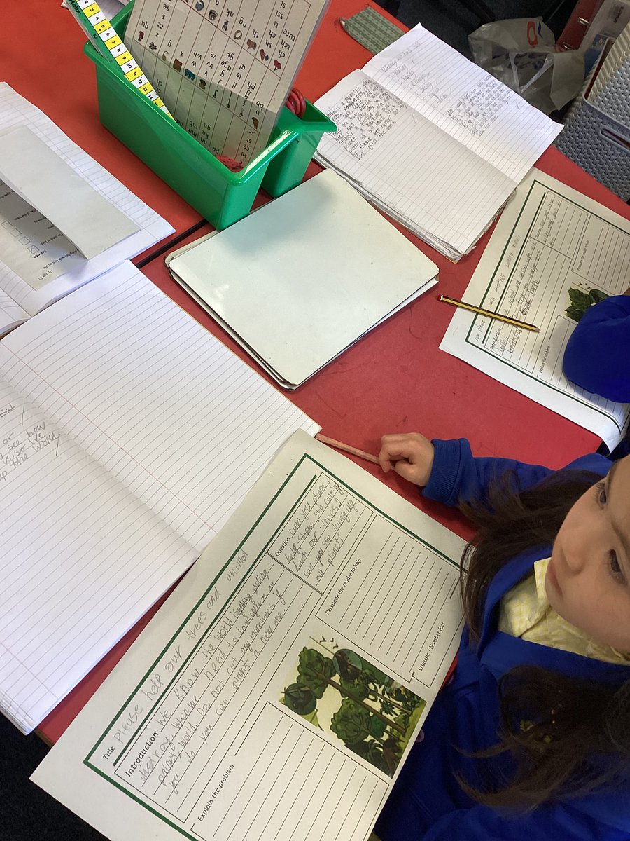StMaryB17's tweet image. #Y2 have been planning their letters to persuade others to help save the rainforests! #English