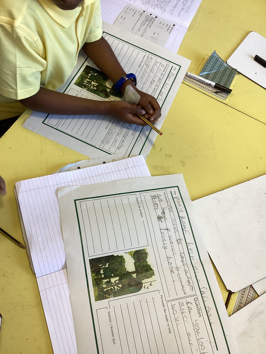 StMaryB17's tweet image. #Y2 have been planning their letters to persuade others to help save the rainforests! #English