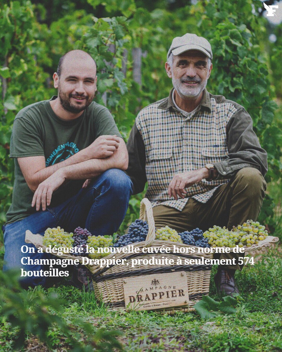 lefigarovin's tweet photo. Produite à seulement 574 exemplaires et vieillie dans un surprenant trois ans dans un curieux fût en forme d’œuf, la nouvelle cuvée des champagnes Drappier perpétue l’héritage d’une maison à l’avant-garde. Nous l’avons dégustée.

Par Martin Lemaire

👉https://t.co/47ijvZ9Ypv https://t.co/SR2GuMLUY4