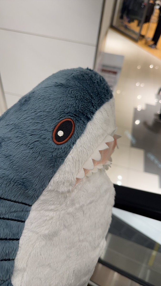 ama_913's tweet photo. ずっと欲しかったIKEAのサメ https://t.co/g3WhRF6OST