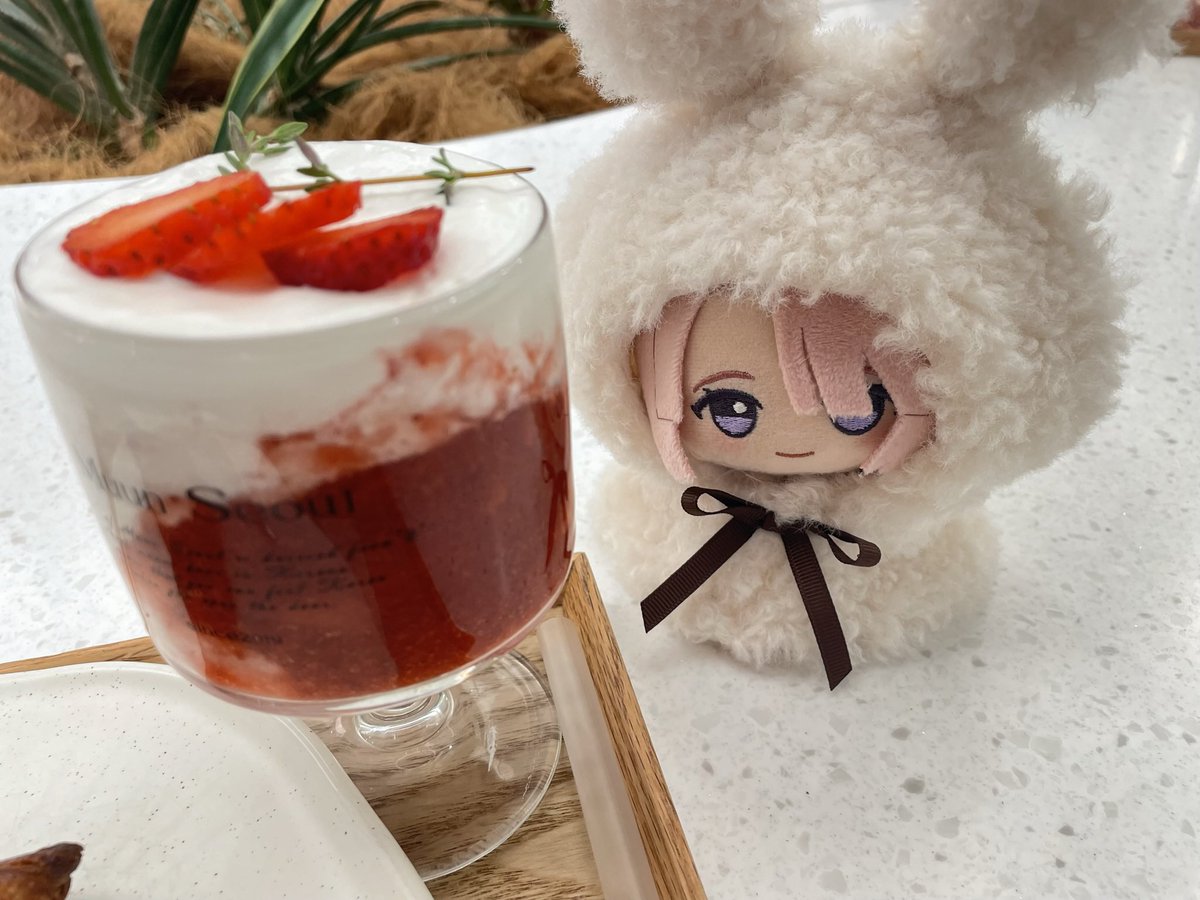 くまっぺ🧸🌹 tweet media