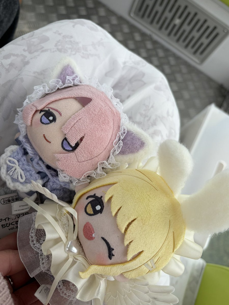 くまっぺ🧸🌹 tweet media