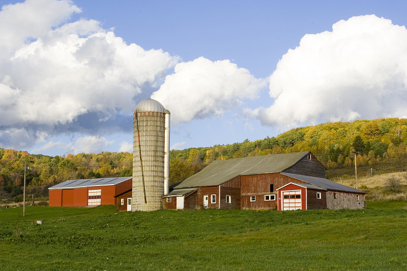 David Sheard tweet media