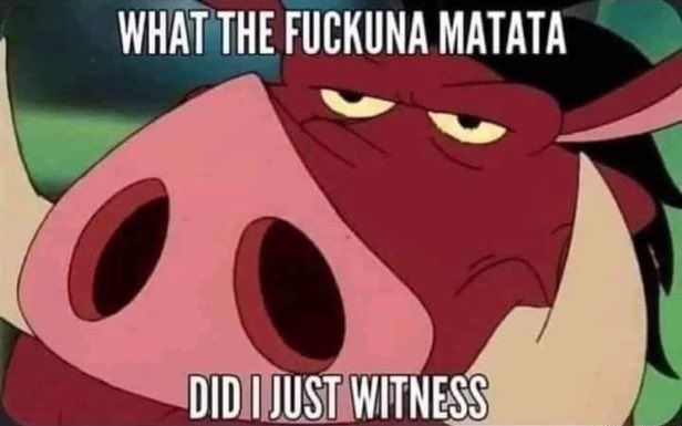 PokédachsVT👑🌰🪄 🥥🧁 tweet media