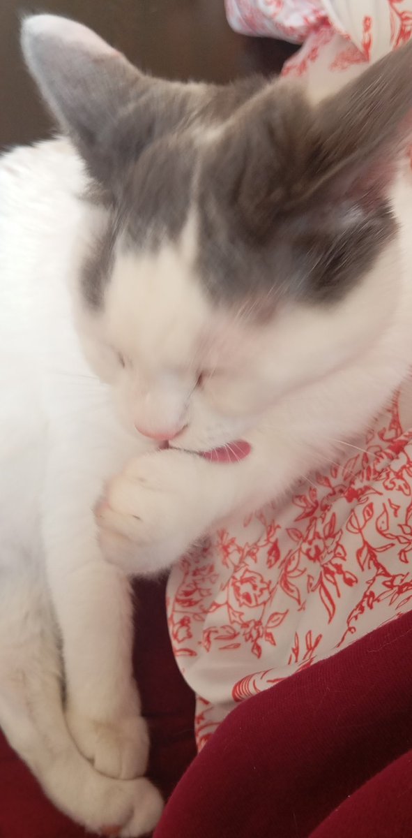 kefoyumm's tweet photo. bu bakısım ve nahım zenginlere gelsni
İSCİ BAYRAMINIZ KUTLU OLSUN EMEKCİ DUSTLARMM https://t.co/TTXnhcpQdN