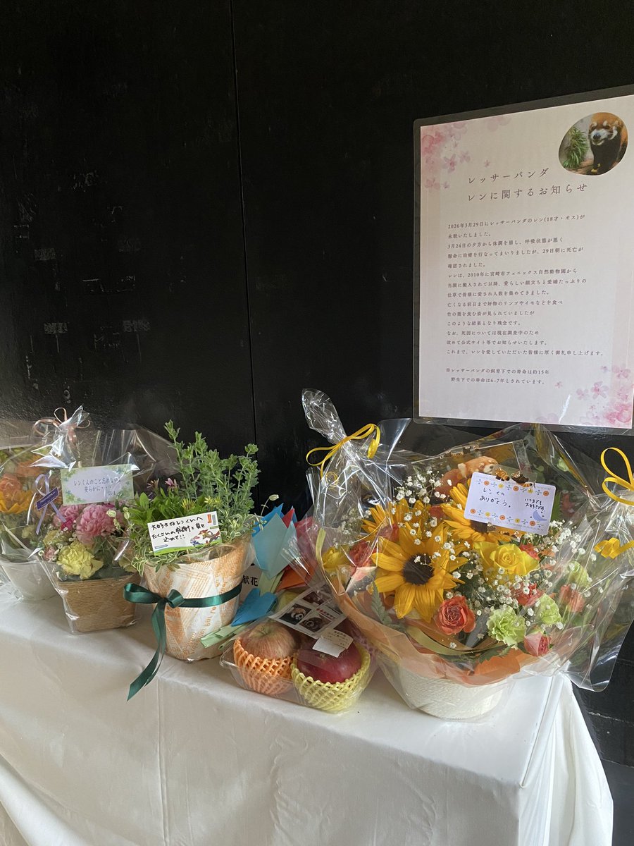 九十九島動植物園森きらら【公式】 tweet media