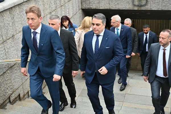 Димитър Василев tweet media