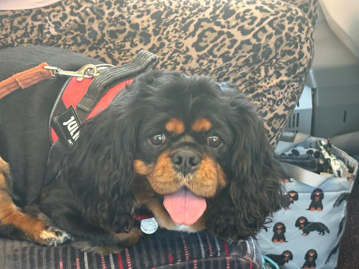 On me holibobs pals and we are off on a train journey 🚂 😍