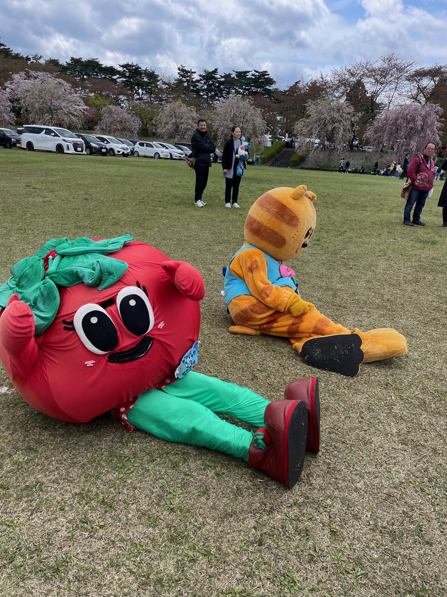 三戸町観光協会 tweet media