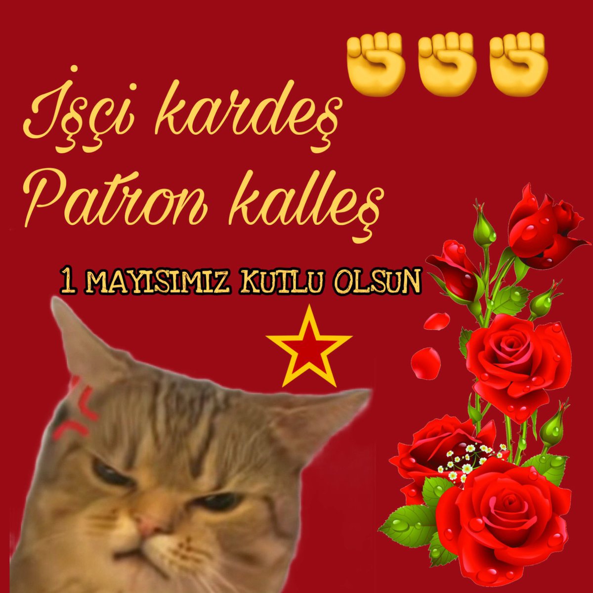 napimkinea's tweet photo. işçi ve emekçi bayramı kutlu olsun https://t.co/9OSW7V2NWL