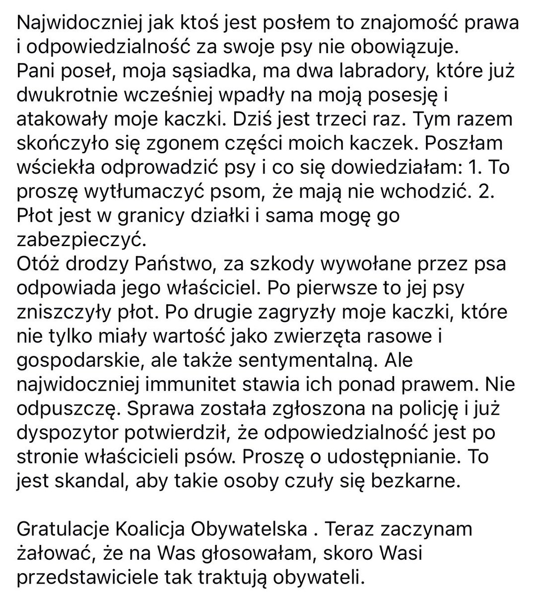Kazik tweet media