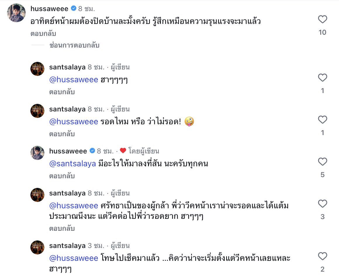 🌻 tweet media