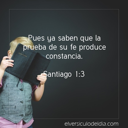 elversiculo's tweet image. Pues ya saben que la prueba de su fe produce constancia.  Santiago 1:3   #versiculodeldia #versiculobiblico #biblia