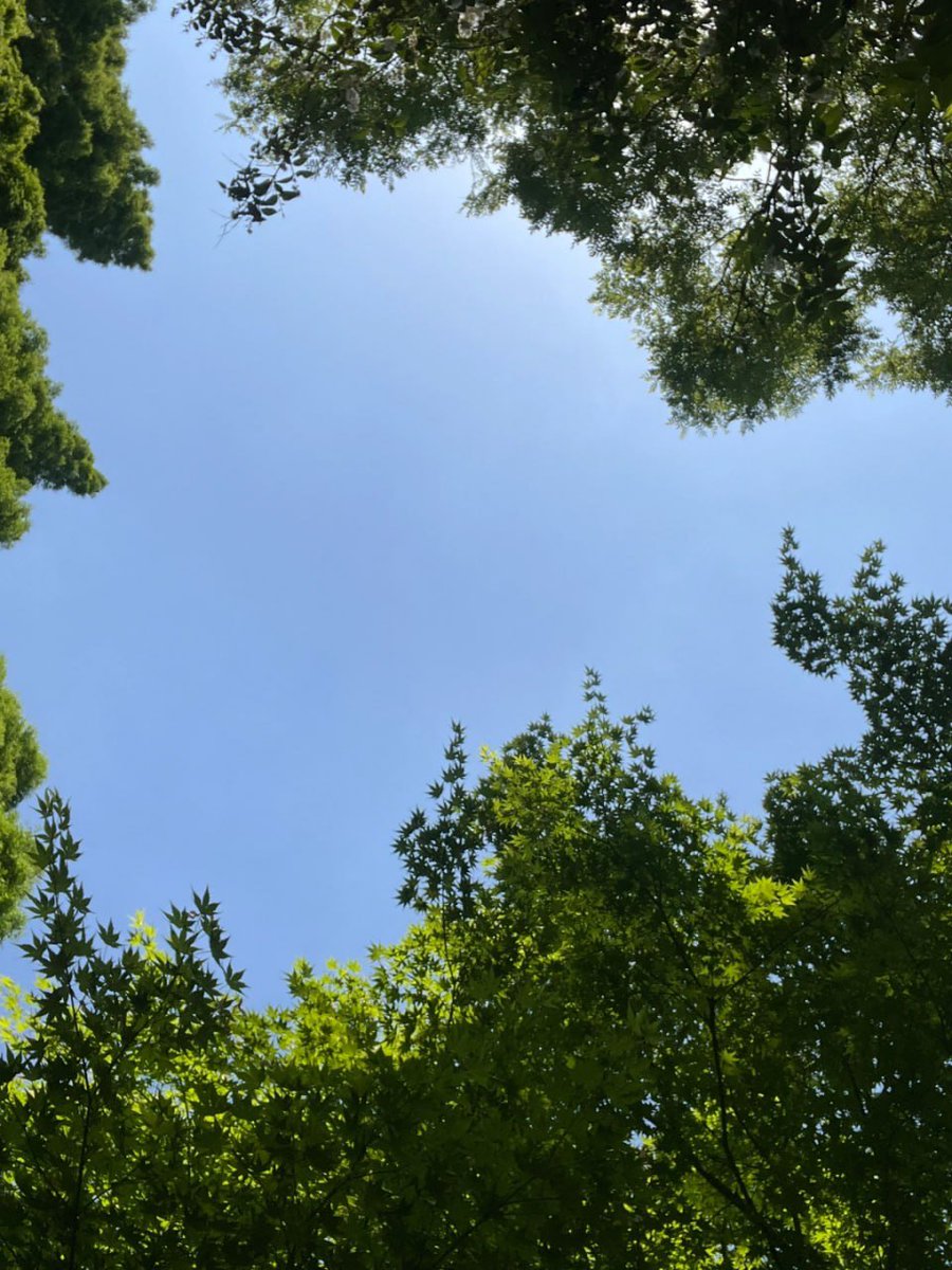 lualindalopes's tweet photo. 公園で両親と一緒にリラックスした午後を過ごしました!🏕️ https://t.co/LBf1lulwWP