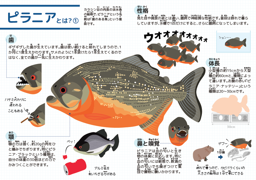 ピラニアの図鑑を作ったので配布します！お近くのファミマ、ローソンに